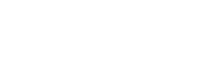 Whiteboxdata logo